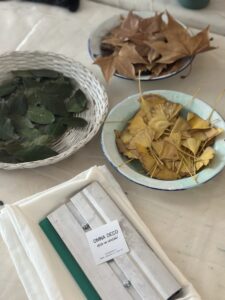 Curso de Estampado Textil- CONTORNO BOTANICO- Clases grabadas online - Imagen 4